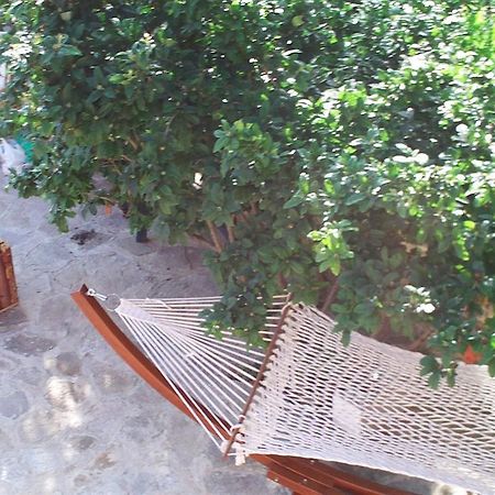 Villa Eden Golden Sands Esterno foto